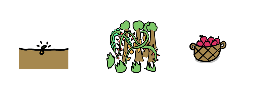 Ein Bild von einem Pflanzensamen in der Erde; ein Dornengestrüpp; und ein Korb voller geernteter Äpfel.